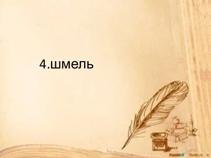 4.шмель