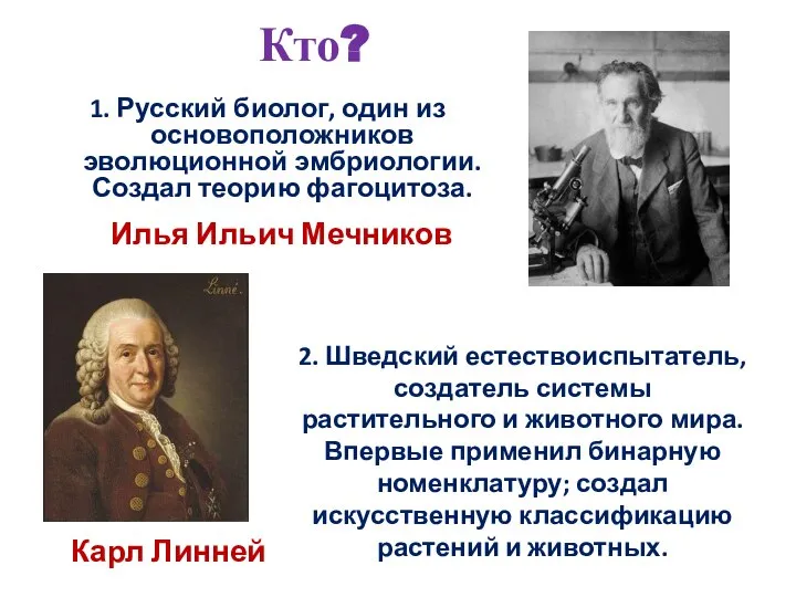 1. Русский биолог, один из основоположников эволюционной эмбриологии. Создал теорию фагоцитоза.