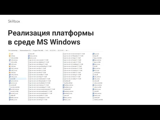 Реализация платформы в среде MS Windows