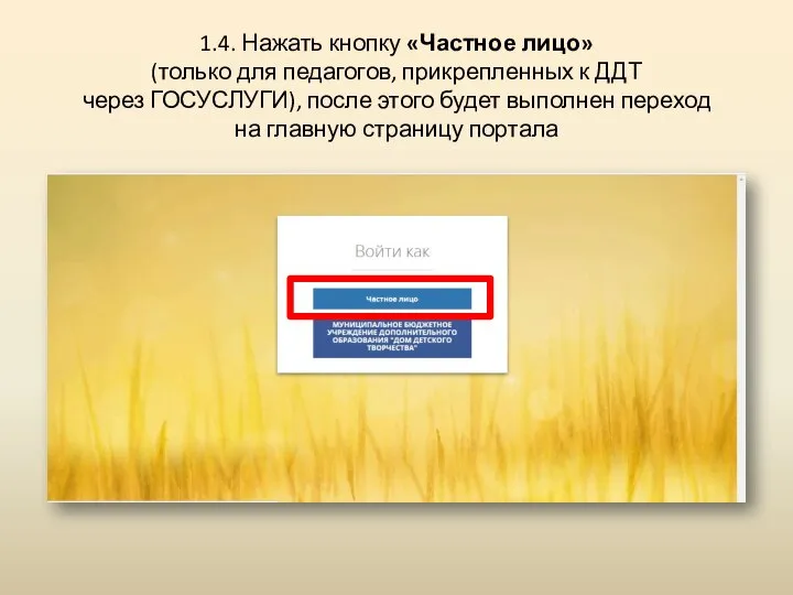 1.4. Нажать кнопку «Частное лицо» (только для педагогов, прикрепленных к ДДТ