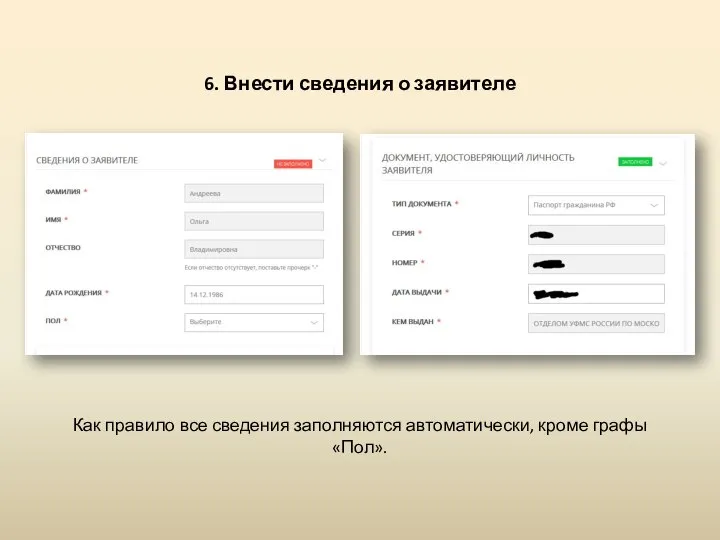 6. Внести сведения о заявителе Как правило все сведения заполняются автоматически, кроме графы «Пол».