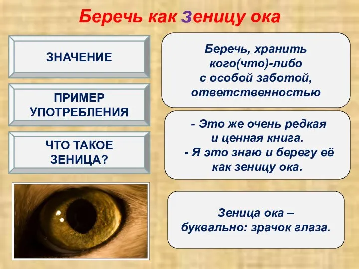 Беречь как зеницу ока Беречь, хранить кого(что)-либо с особой заботой, ответственностью