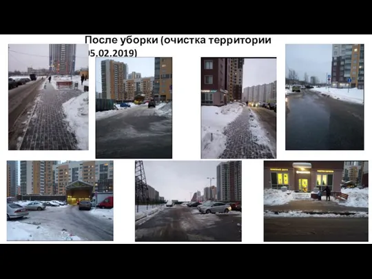 После уборки (очистка территории 05.02.2019)