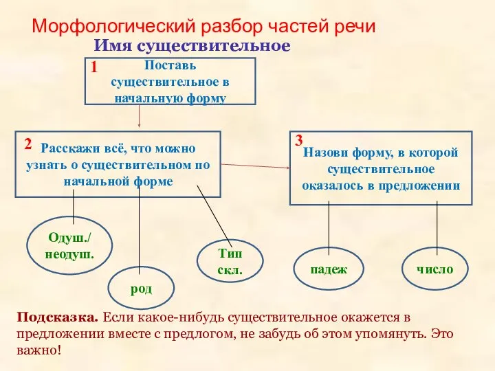 Имя существительное Подсказка. Если какое-нибудь существительное окажется в предложении вместе с