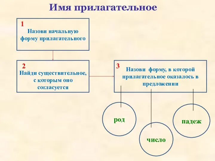 Имя прилагательное Назови начальную форму прилагательного Найди существительное, с которым оно