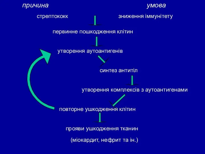 причина умова стрептококк зниження іммунітету первинне пошкодження клітин утворення аутоантигенів синтез