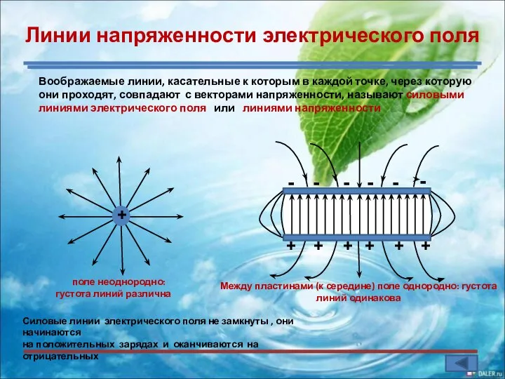 Линии напряженности электрического поля Воображаемые линии, касательные к которым в каждой