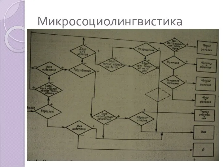 Микросоциолингвистика