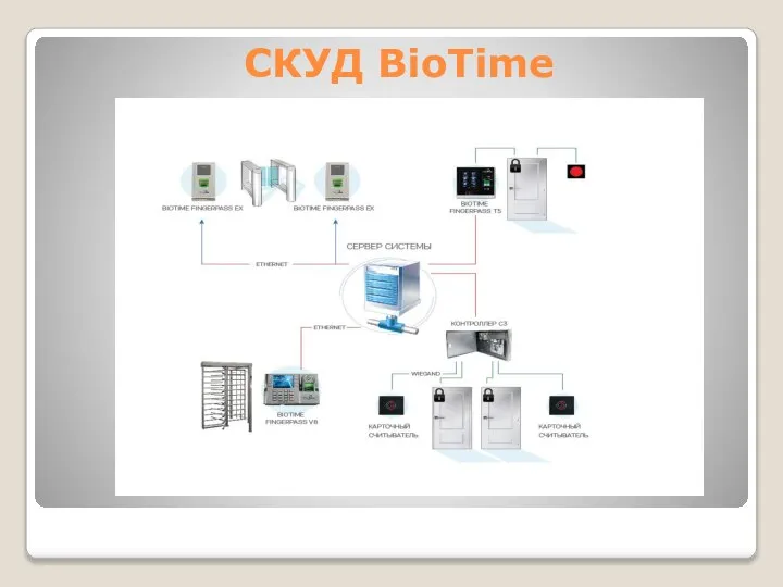 СКУД BioTime