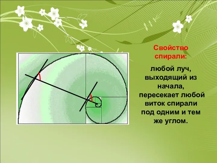 Свойство спирали: любой луч, выходящий из начала, пересекает любой виток спирали