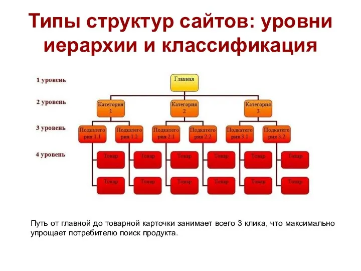 Типы структур сайтов: уровни иерархии и классификация Путь от главной до
