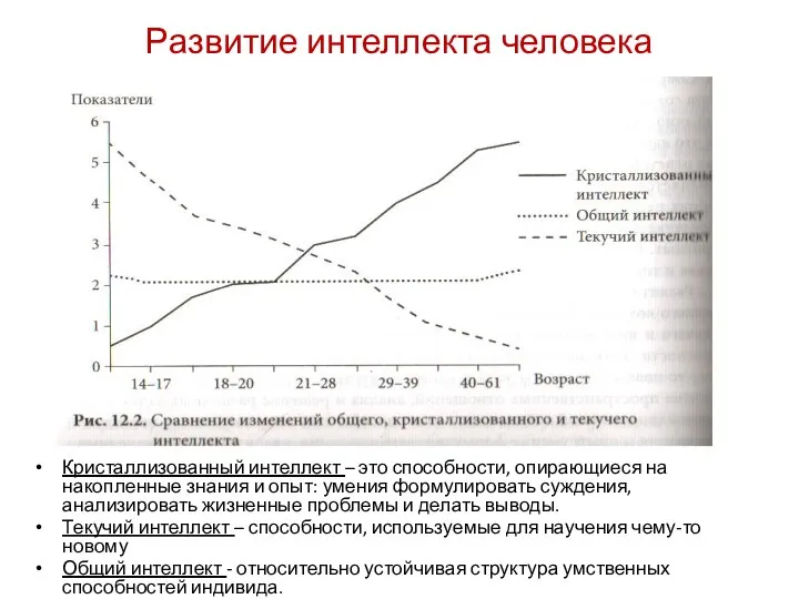 Развитие интеллекта человека Кристаллизованный интеллект – это способности, опирающиеся на накопленные