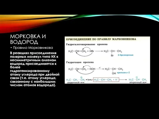 МОРКОВКА И ВОДОРОД Правило Марковникова В реакциях присоединения полярных молекул типа