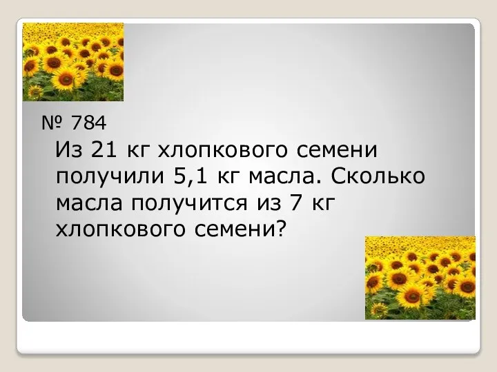 № 784 Из 21 кг хлопкового семени получили 5,1 кг масла.