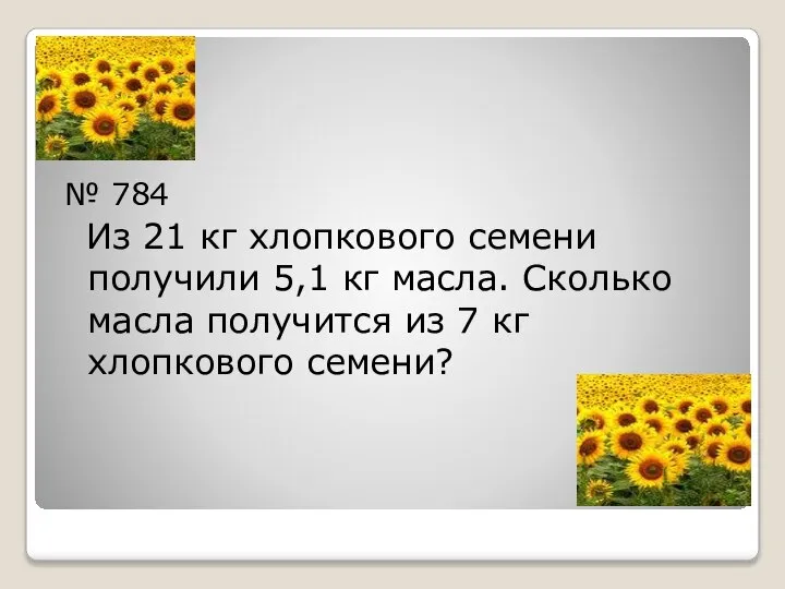 № 784 Из 21 кг хлопкового семени получили 5,1 кг масла.