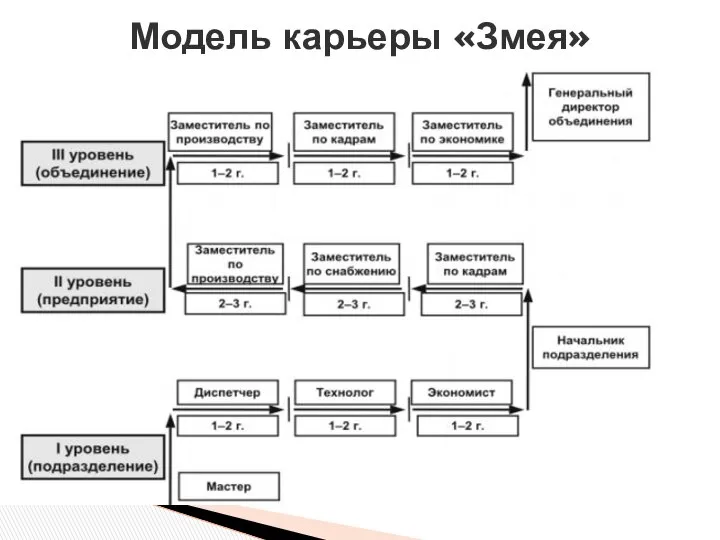 Модель карьеры «Змея»