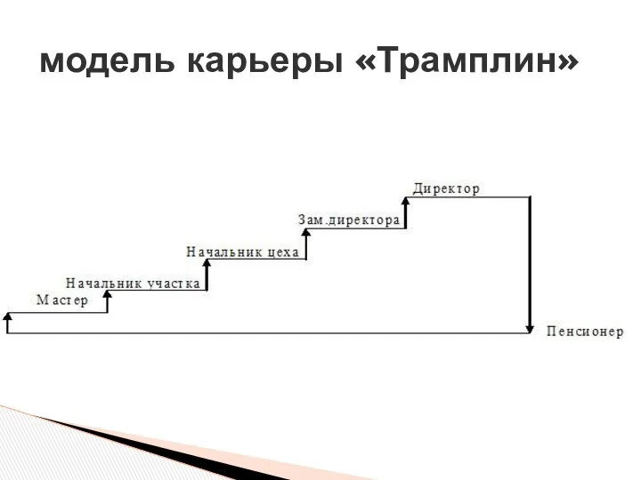 модель карьеры «Трамплин»