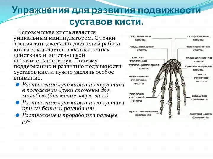 Упражнения для развития подвижности суставов кисти. Человеческая кисть является уникальным манипулятором.