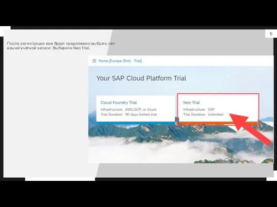 После регистрации вам будет предложено выбрать тип вашей учётной записи: Выберите Neo Trial.