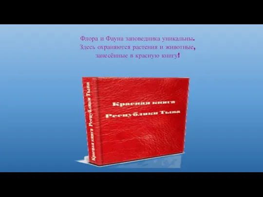 Флора и Фауна заповедника уникальны. Здесь охраняются растения и животные, занесённые в красную книгу!