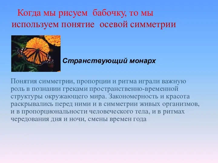 Странствующий монарх используем понятие осевой симметрии Когда мы рисуем бабочку, то