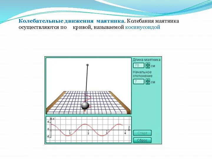 Колебательные движения маятника. Колебания маятника осуществляются по кривой, называемой косинусоидой