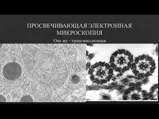 ПРОСВЕЧИВАЮЩАЯ ЭЛЕКТРОННАЯ МИКРОСКОПИЯ Она же - трансмиссионная