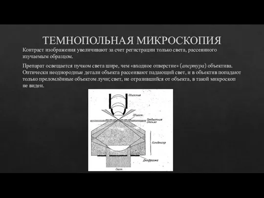 ТЕМНОПОЛЬНАЯ МИКРОСКОПИЯ Контраст изображения увеличивают за счет регистрации только света, рассеянного