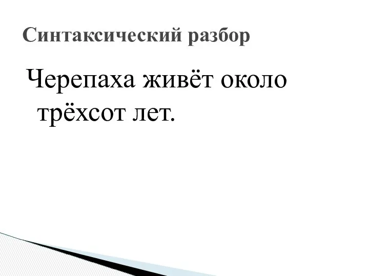 Черепаха живёт около трёхсот лет. Синтаксический разбор