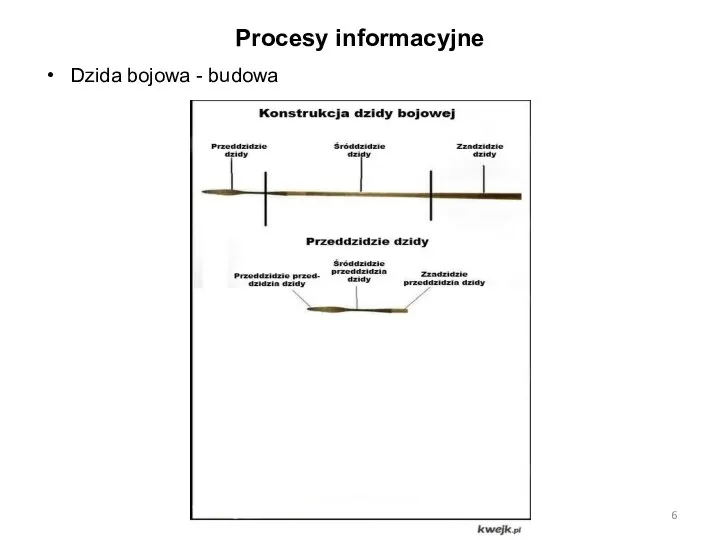 Procesy informacyjne Dzida bojowa - budowa