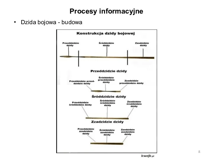 Procesy informacyjne Dzida bojowa - budowa