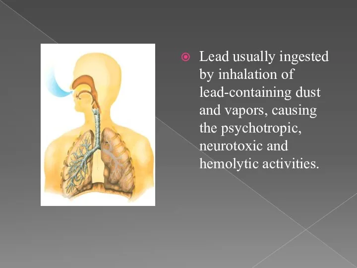 Lead usually ingested by inhalation of lead-containing dust and vapors, causing