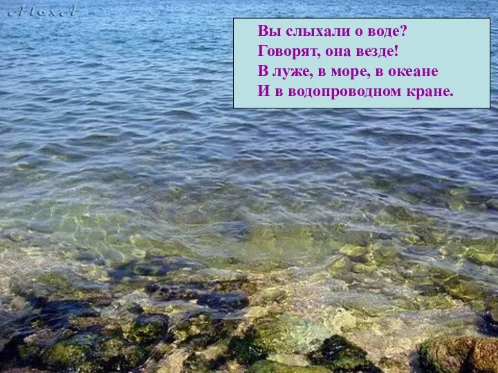 Вы слыхали о воде? Говорят, она везде! В луже, в море,