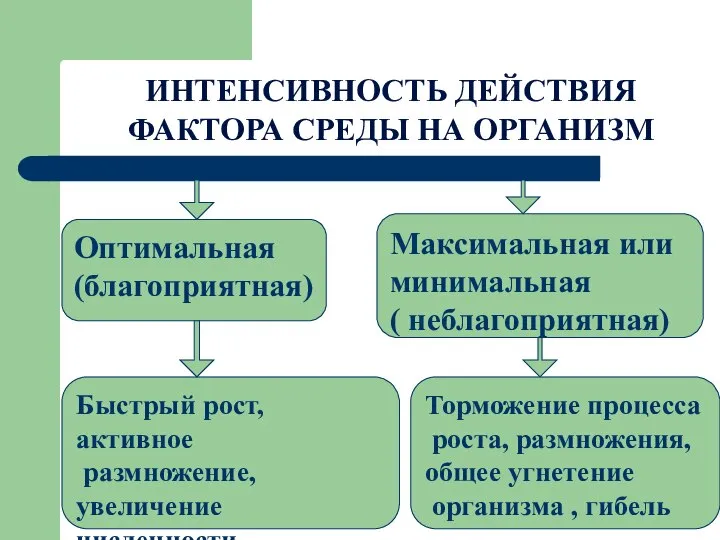 ИНТЕНСИВНОСТЬ ДЕЙСТВИЯ ФАКТОРА СРЕДЫ НА ОРГАНИЗМ Оптимальная (благоприятная) Максимальная или минимальная