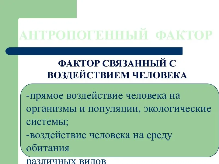 АНТРОПОГЕННЫЙ ФАКТОР ФАКТОР СВЯЗАННЫЙ С ВОЗДЕЙСТВИЕМ ЧЕЛОВЕКА -прямое воздействие человека на