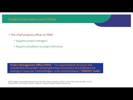 Project Executive-Level Roles The chief projects officer or PMO Supports project