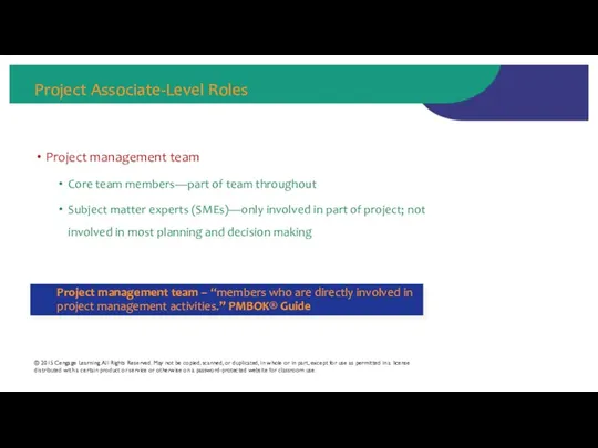 Project Associate-Level Roles Project management team Core team members—part of team