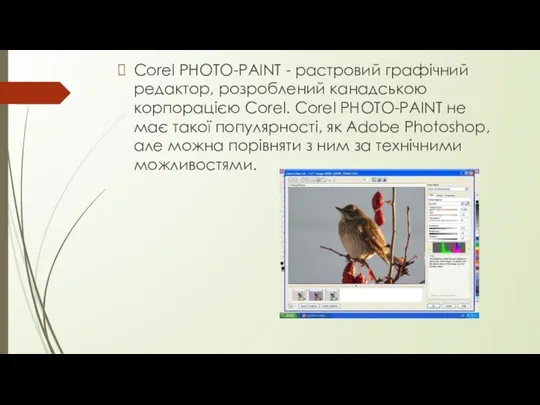 Corel PHOTO-PAINT - растровий графічний редактор, розроблений канадською корпорацією Corel. Corel