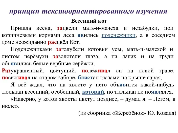 принцип текстоориентированного изучения Весенний кот Пришла весна, зацвели мать-и-мачеха и незабудки,