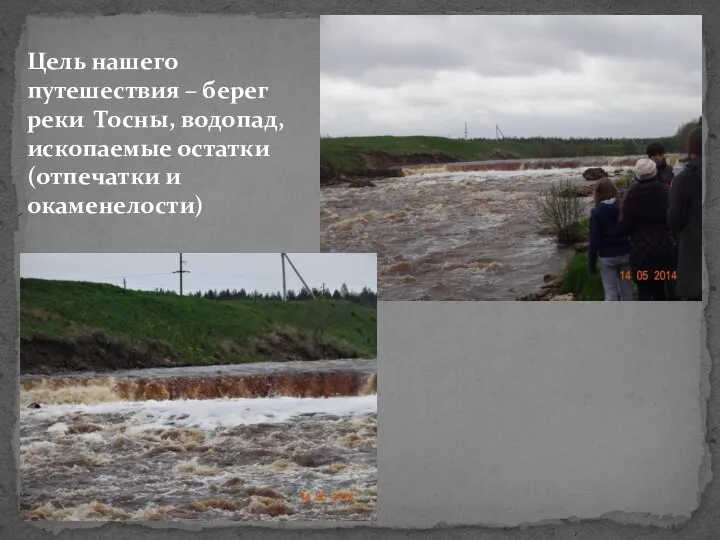 Цель нашего путешествия – берег реки Тосны, водопад, ископаемые остатки (отпечатки и окаменелости)