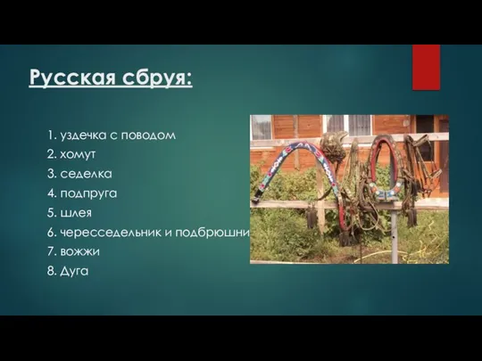 Русская сбруя: 1. уздечка с поводом 2. хомут 3. седелка 4.