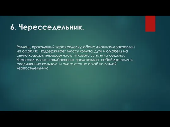 6. Чересседельник. Ремень, проходящий через седелку, обоими концами закреплен на оглоблях.