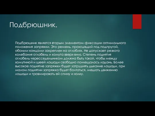 Подбрюшник. Подбрюшник является вторым элементом фиксации оптимального положения запряжки. Это ремень,