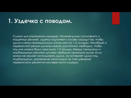 1. Уздечка с поводом. Служит для управления лошадью. Изменяя длину суголовного