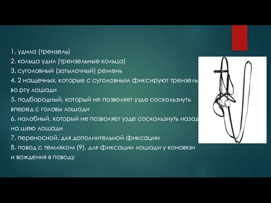 1. удила (трензель) 2. кольца удил (трензельные кольца) 3. суголовный (затылочный)