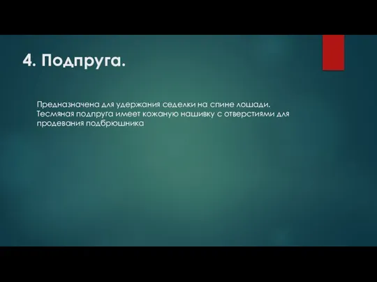 4. Подпруга. Предназначена для удержания седелки на спине лошади. Тесмяная подпруга