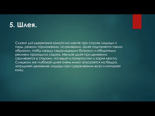 5. Шлея. Служит для удержания хомута на месте при спуске лошади