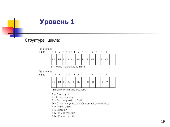 Уровень 1 Структура цикла: