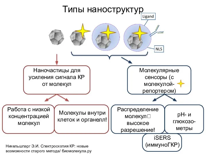 Молекулярные сенсоры (с молекулой-репортером) Наночастицы для усиления сигнала КР от молекул