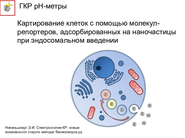 ГКР рН-метры Картирование клеток с помощью молекул-репортеров, адсорбированных на наночастицы при